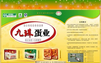 九珠蛋业 匠心传承，自然馈赠——皮蛋与咸蛋的绿色美味